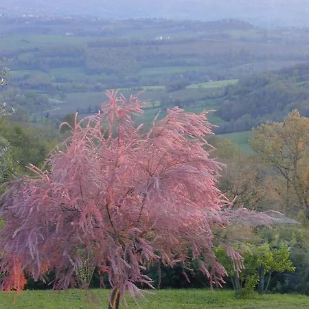 Acquaviva Country house *