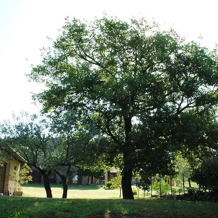 Acquaviva Casa rural