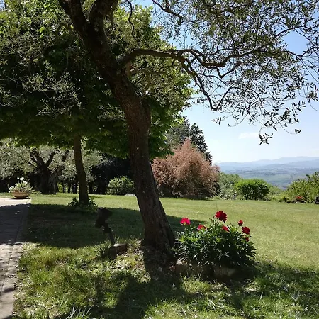 Acquaviva Country house *